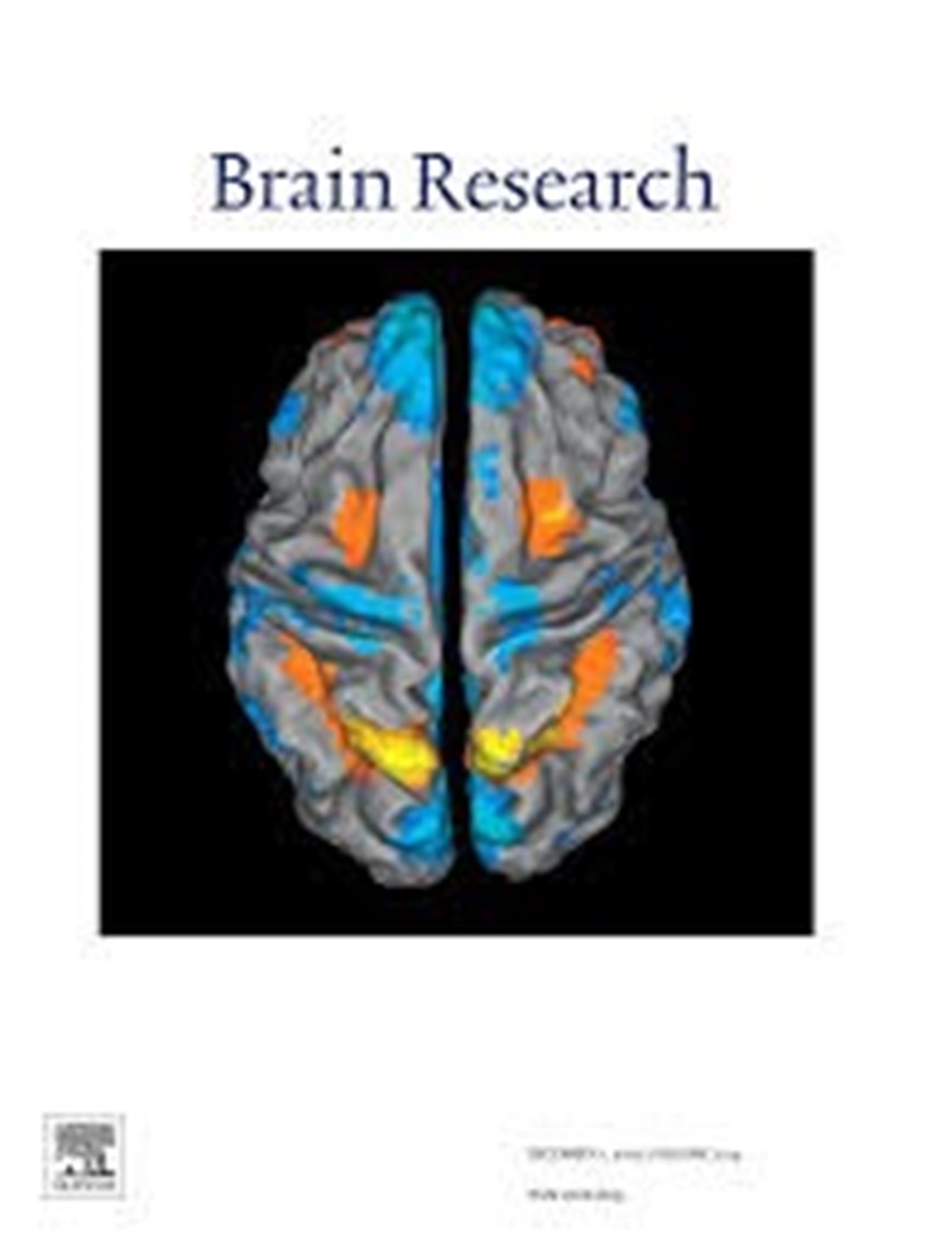 Paper published in journal Brain Research