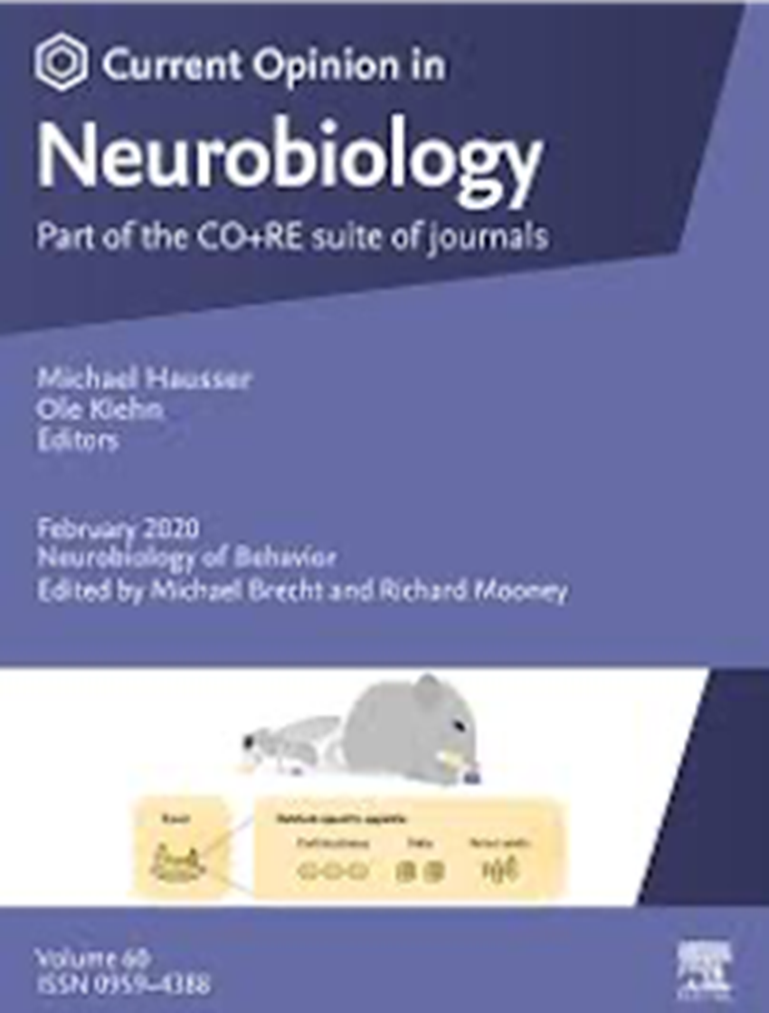 A revista "Current Opinion in Neurobiology" publica resultados de projeto apoiado pela Fundação BIAL