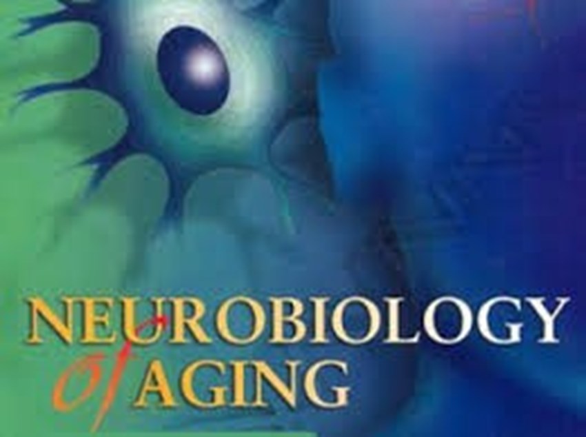 Research project supported by the BIAL Foundation features in the Journal Neurobiology of Aging