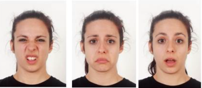 Researchers supported by the BIAL Foundation carried out a project to find how facial expressions are read by the brain
