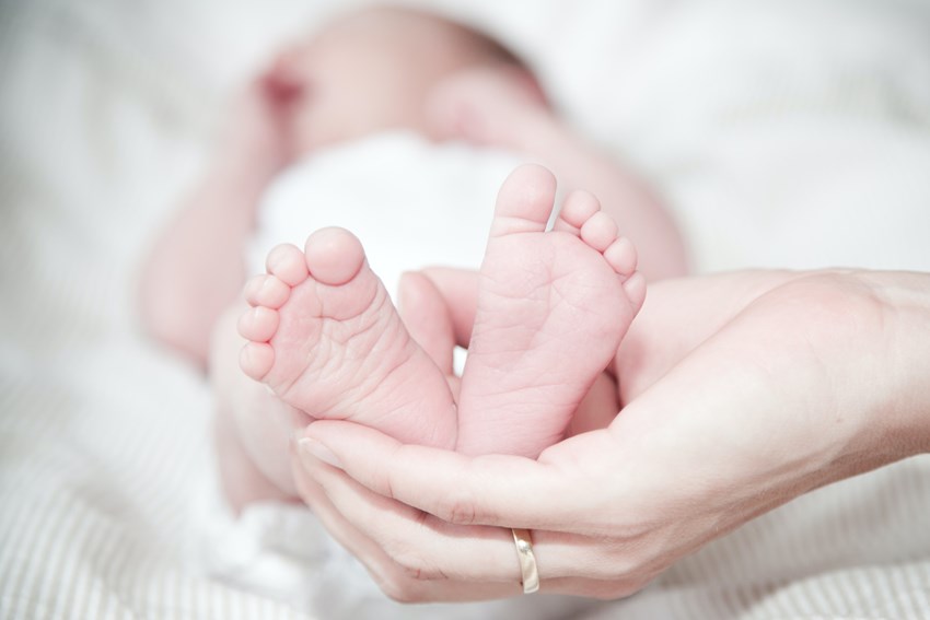 Newborn hearing analysis can predict neurophysiological development at 12 months